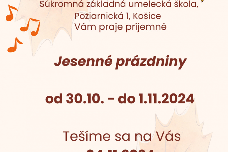 Novoročný koncert