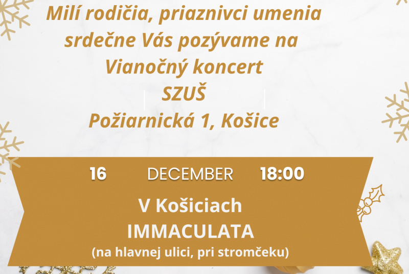 Novoročný koncert